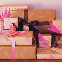 Gift Horse & Co. gift wrapping subscription boxes